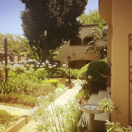 Dunton Guest House Йоханесбург Екстериор снимка